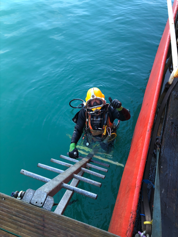 Seawide Diver coming out of the water